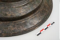 Foto von Bronzephalere (NHMW-PRAE-025640)